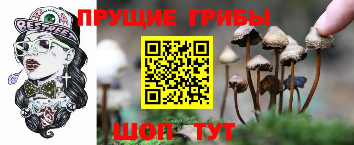 Галлюциногенные грибы Cubensis  Вход с VPN  Туймазы 